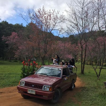 The Teak Resort Chiangdao Chiang Dao Bagian luar foto