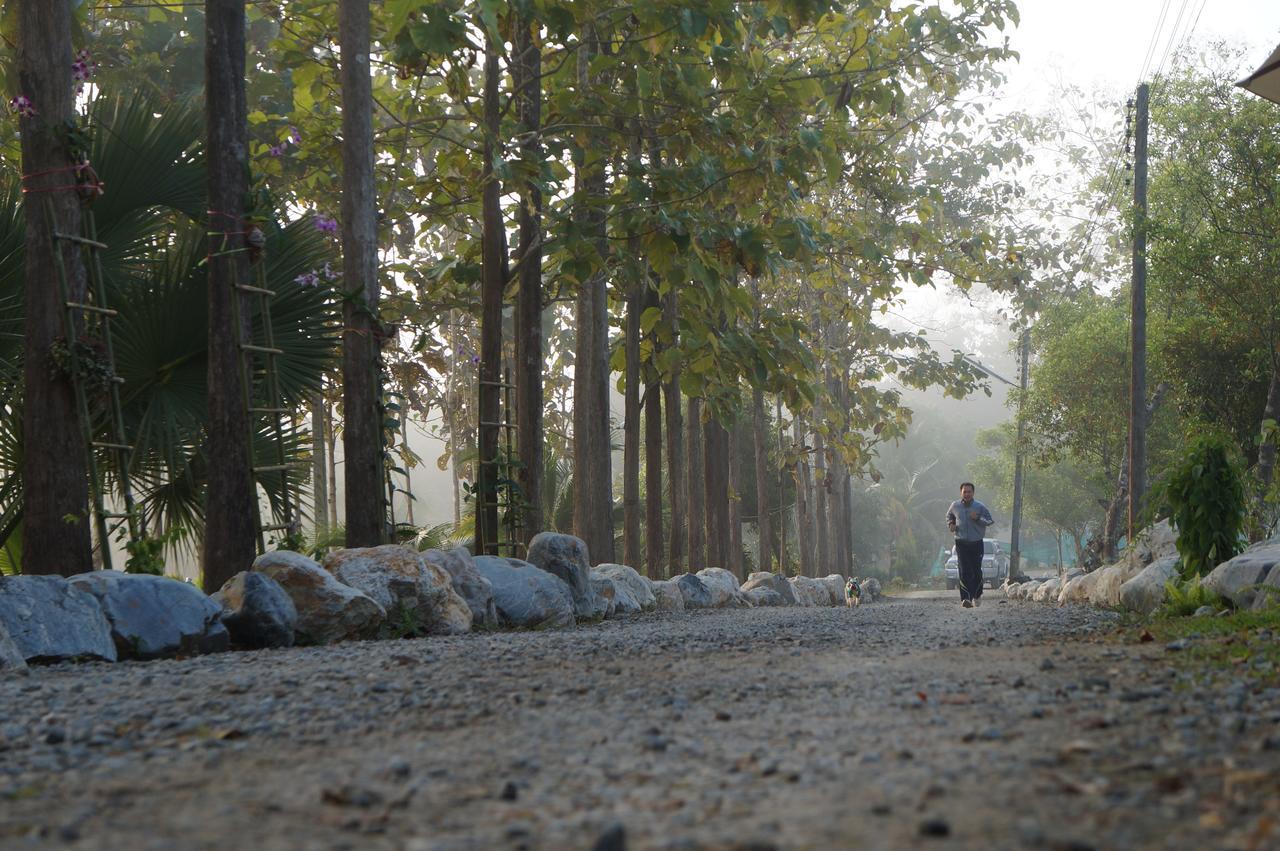 The Teak Resort Chiangdao Chiang Dao Bagian luar foto