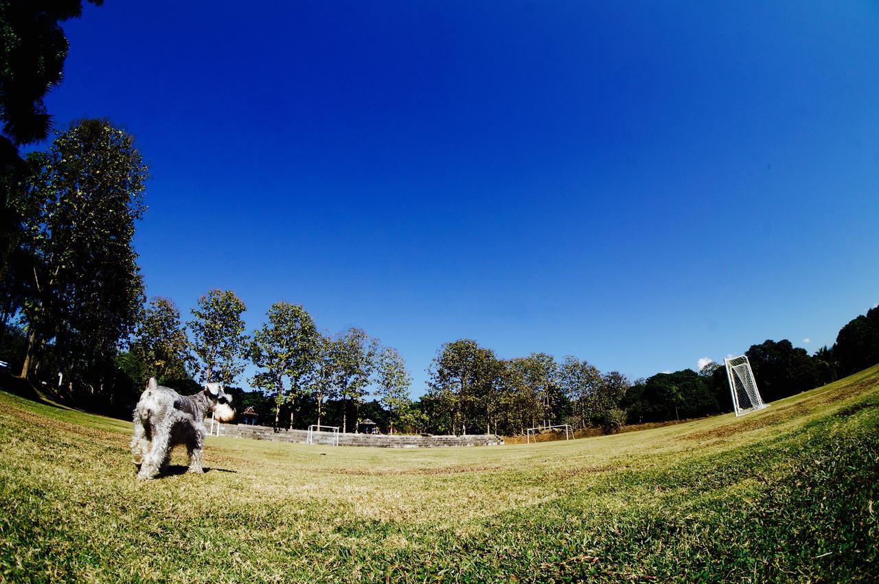 The Teak Resort Chiangdao Chiang Dao Bagian luar foto