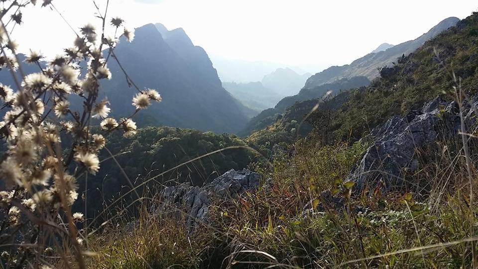 The Teak Resort Chiangdao Chiang Dao Bagian luar foto